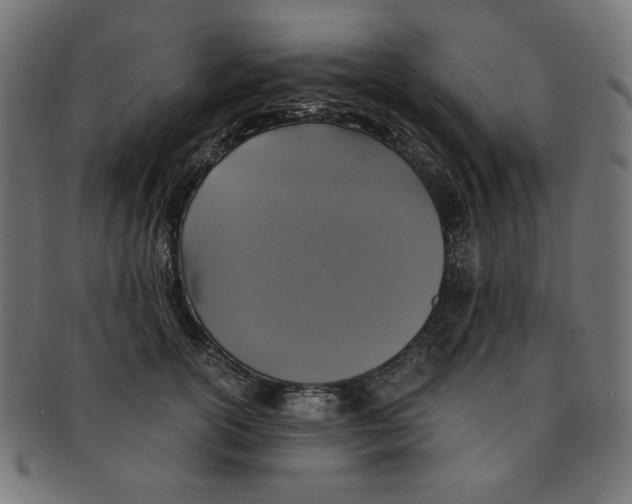 X0000091200754200709061413