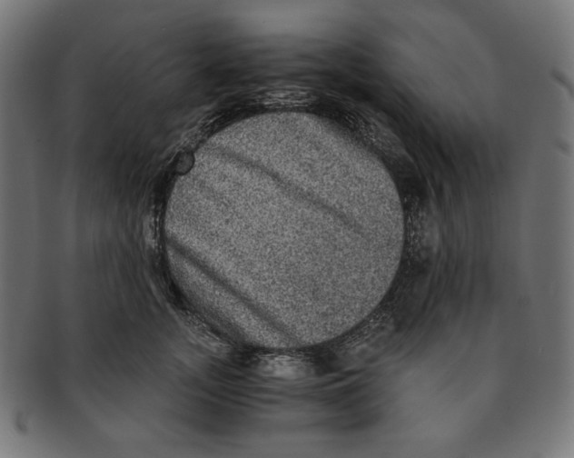 X0000091200755200709061413