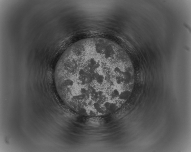 X0000091200757200709061413