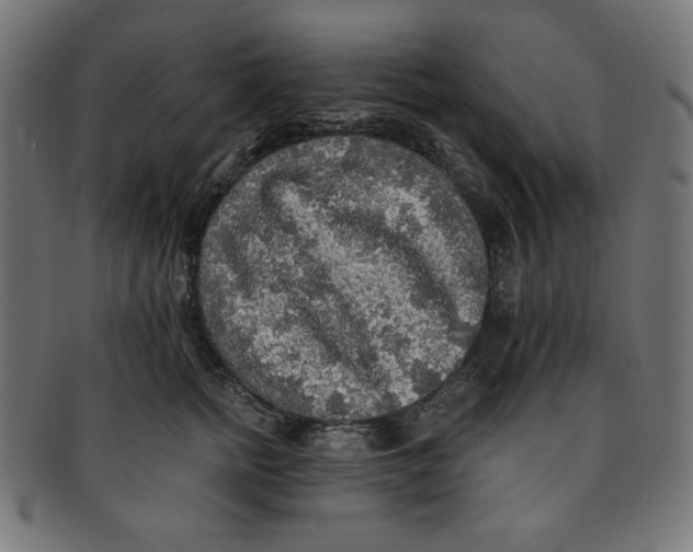 X0000091200758200709061413