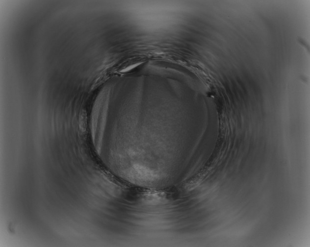 X0000091200760200709061413