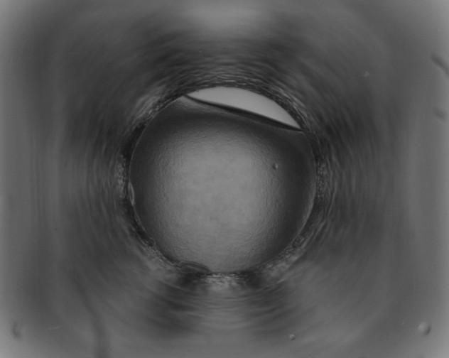 X0000091200762200709061413
