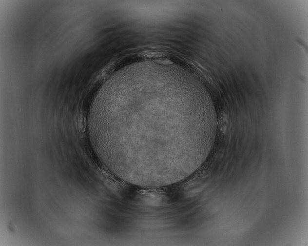 X0000091200763200709061413
