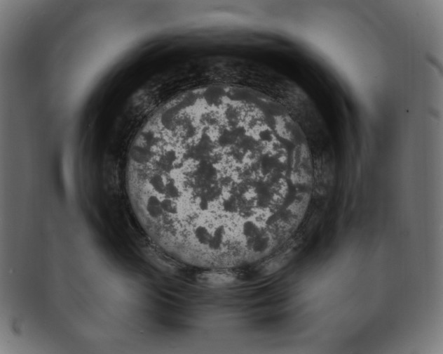 X0000091200765200709061413