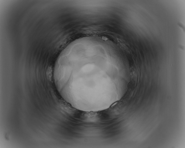 X0000091200767200709061413