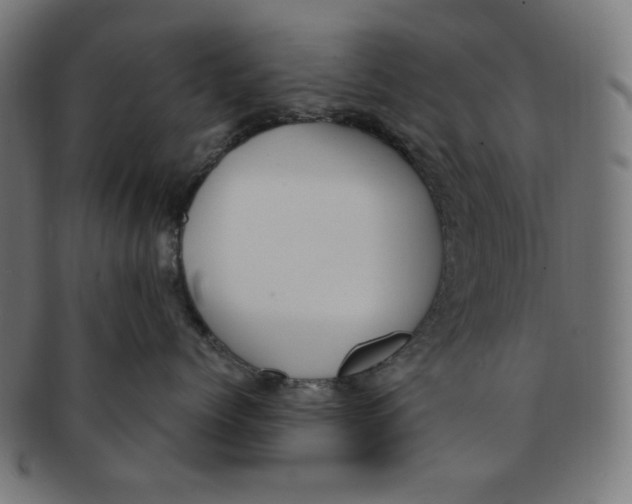 X0000091200768200709061413