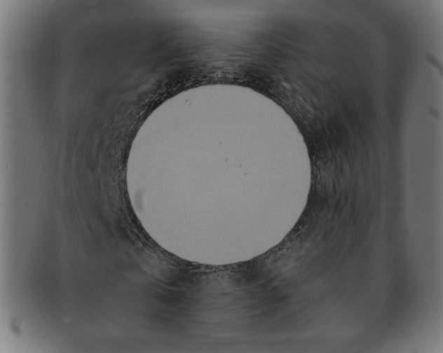 X0000091200769200709061413