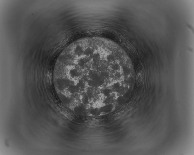 X0000091200772200709061413