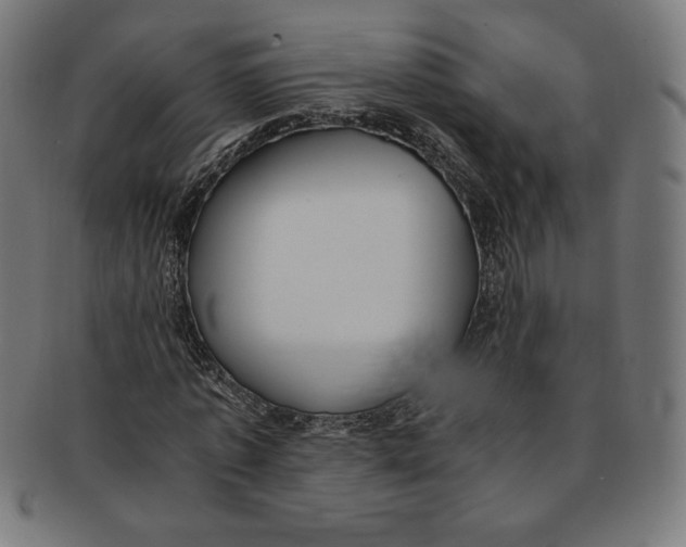 X0000091200773200709061413