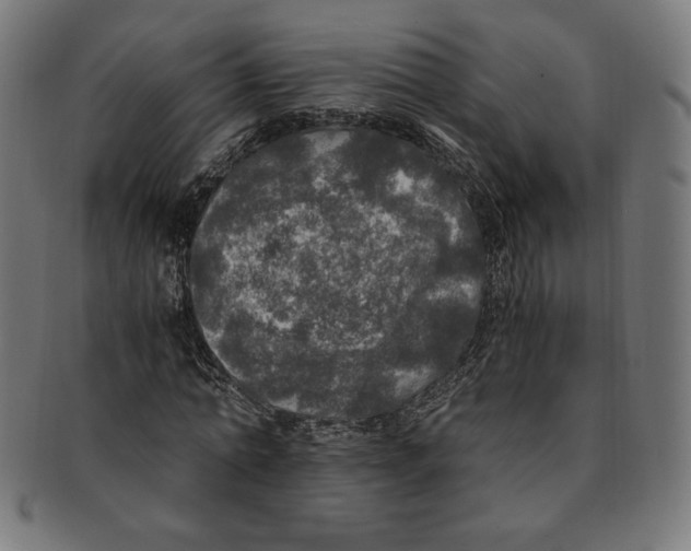 X0000091200774200709061413
