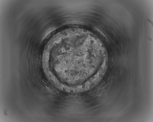 X0000091200775200709061413