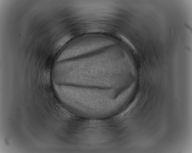 X0000091200777200709061413
