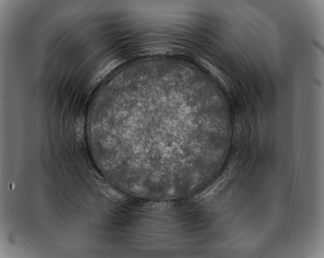 X0000091200778200709061413