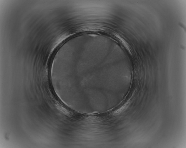 X0000091200779200709061412