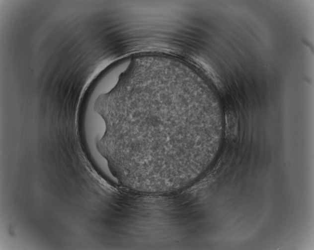 X0000091200780200709061412