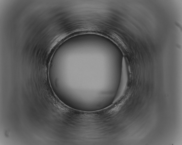 X0000091200781200709061412