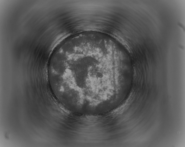 X0000091200782200709061412