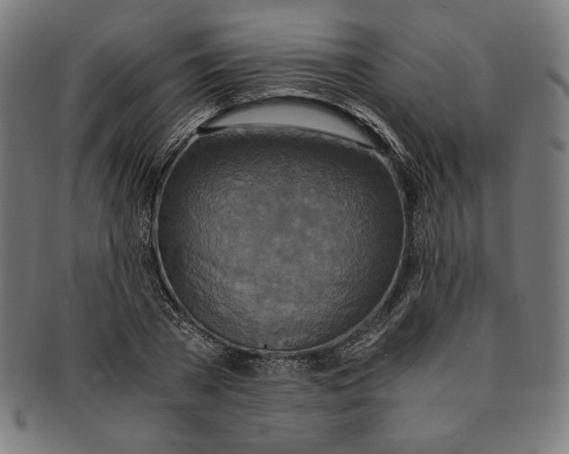 X0000091200785200709061412