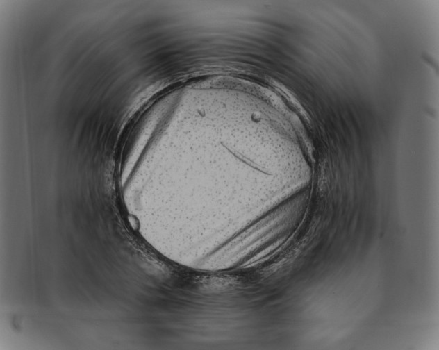 X0000091200786200709061412