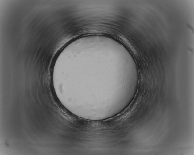 X0000091200787200709061412