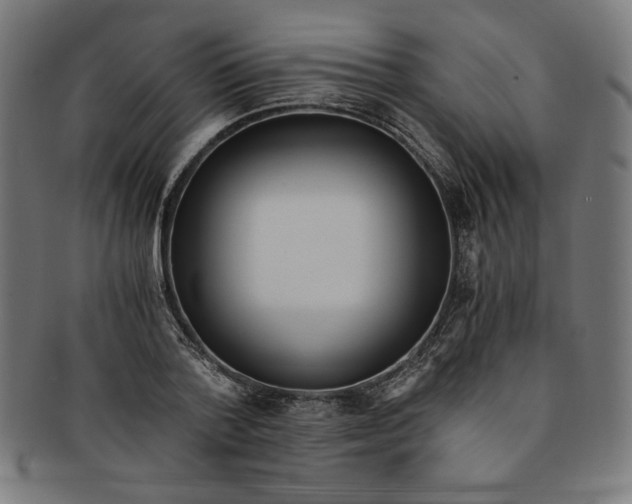 X0000091200788200709061412
