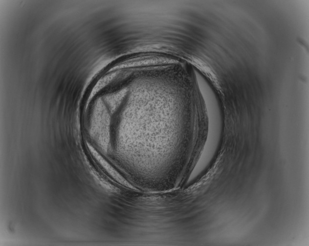 X0000091200792200709061412