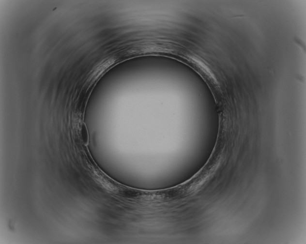 X0000091200793200709061412
