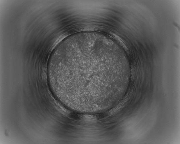 X0000091200794200709061412