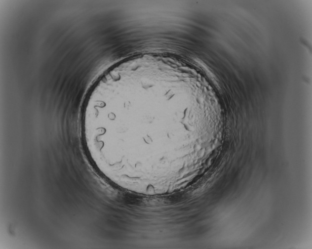X0000091200795200709061412