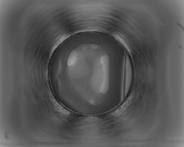 X0000091200797200709061412
