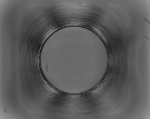 X0000091200802200709061412