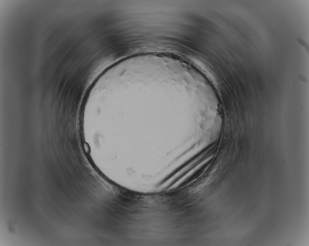 X0000091200803200709061412