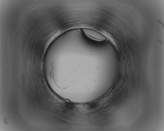 X0000091200805200709061412