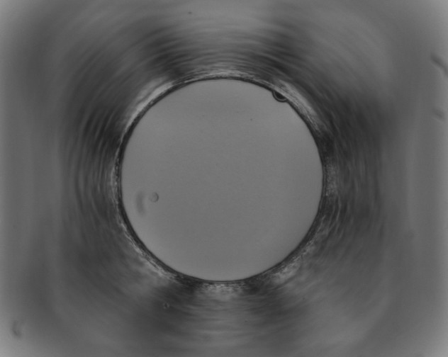 X0000091200806200709061412