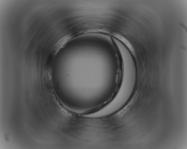 X0000091200809200709061412