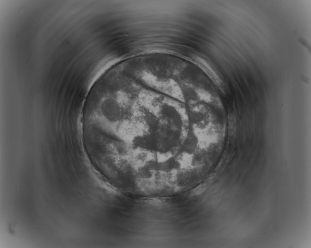 X0000091200814200709061412