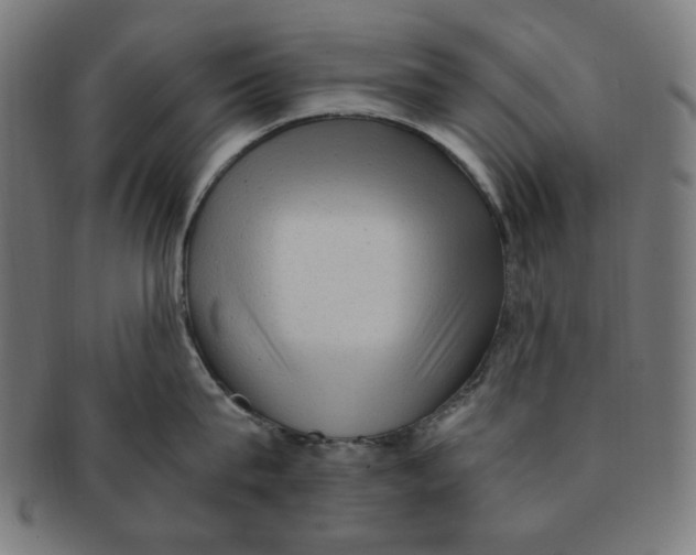X0000091200815200709061412