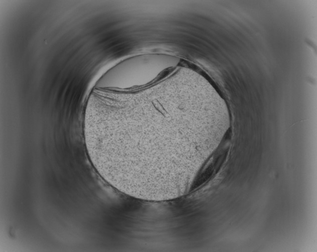 X0000091200816200709061412