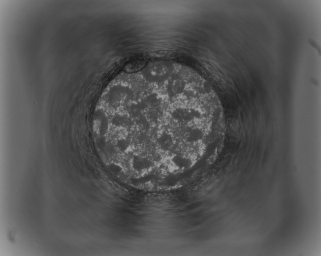 X0000091200817200709061411