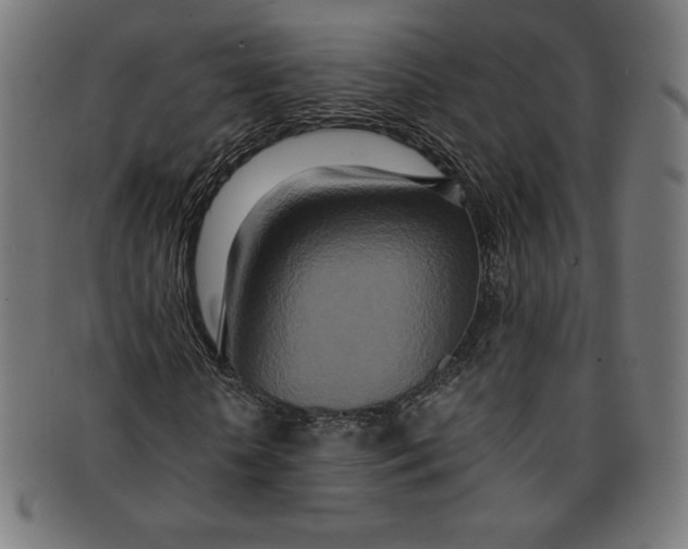 X0000091200818200709061412