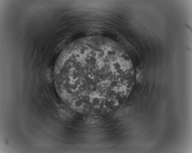 X0000091200819200709061412