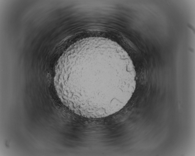 X0000091200821200709061412