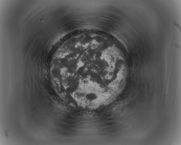 X0000091200823200709061412