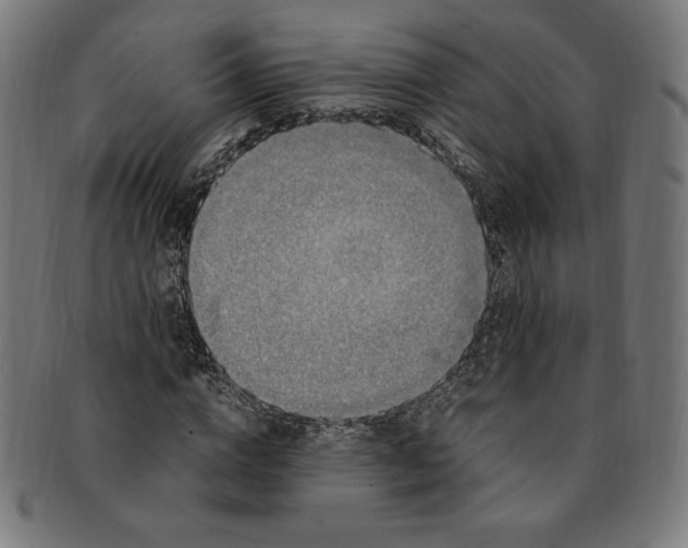 X0000091200824200709061412