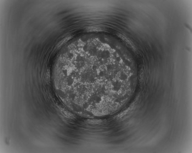 X0000091200825200709061412