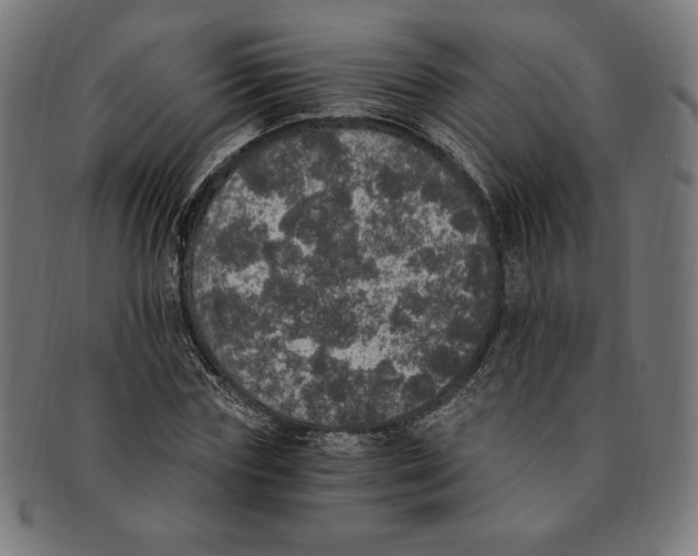 X0000091200827200709061412