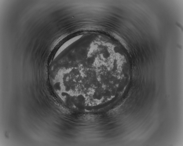X0000091200829200709061412