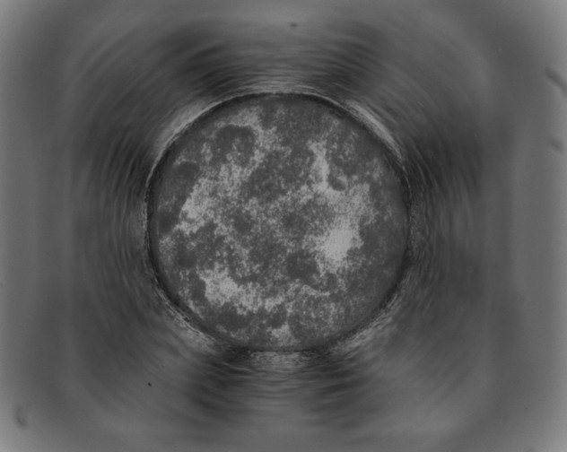 X0000091200831200709061412