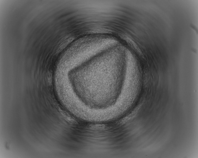 X0000091200833200709061412