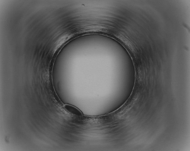 X0000091200834200709061412
